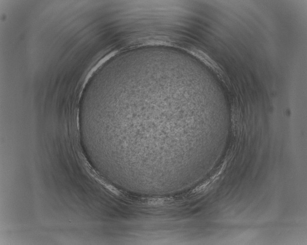 X0000073990790200609111532