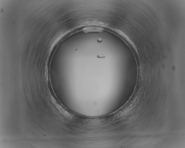 X0000073990791200609111532