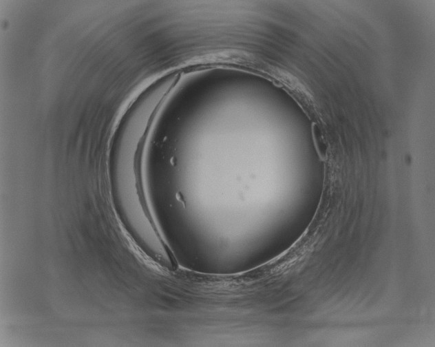 X0000073990792200609111532