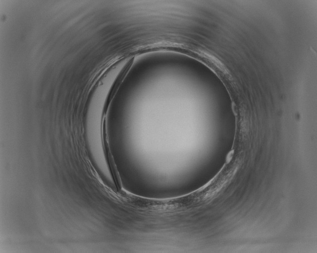 X0000073990793200609111532