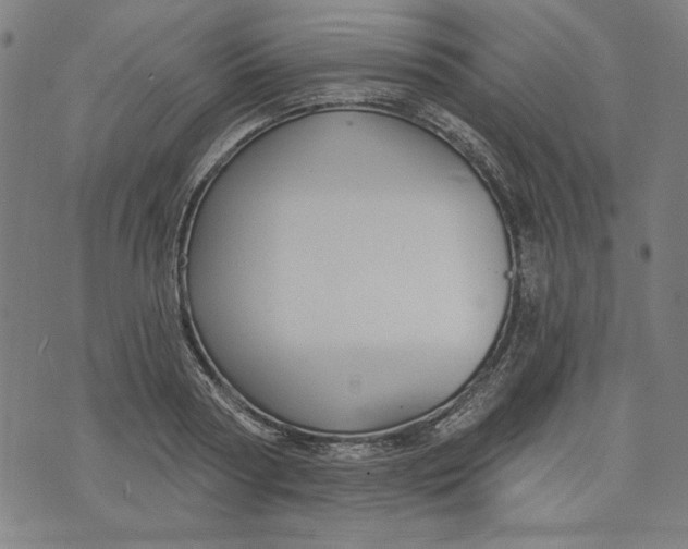 X0000073990794200609111532