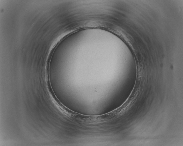 X0000073990795200609111532