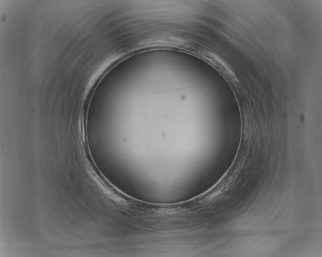 X0000073990796200609111532