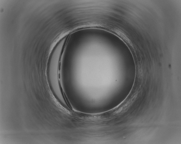 X0000073990797200609111532