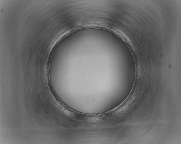 X0000073990798200609111532