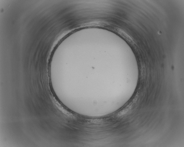 X0000073990800200609111532