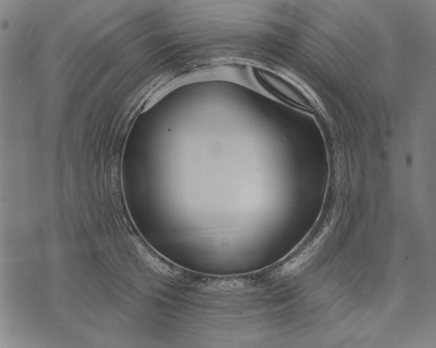 X0000073990801200609111532