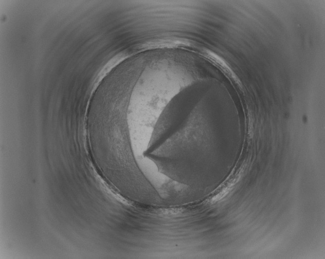 X0000073990802200609111532