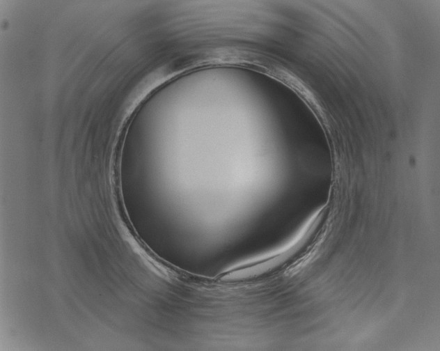 X0000073990803200609111532