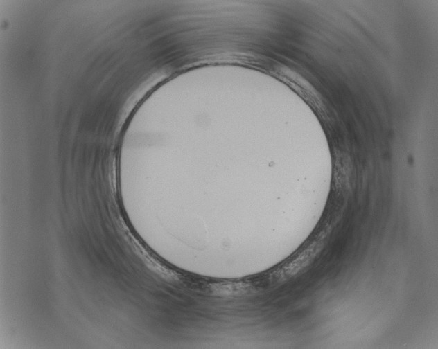 X0000073990804200609111532