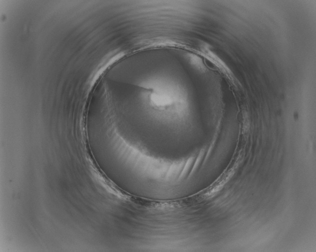 X0000073990806200609111532