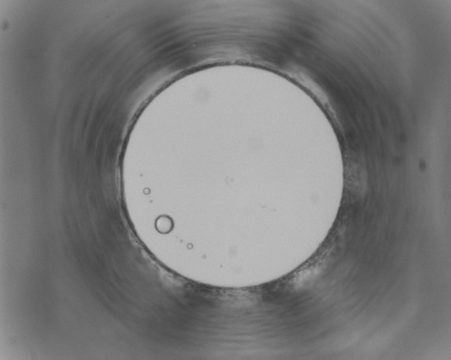 X0000073990807200609111532