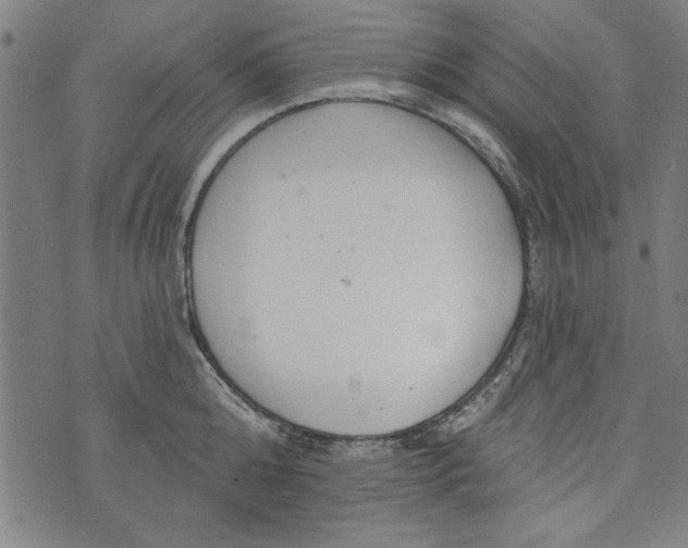 X0000073990808200609111531