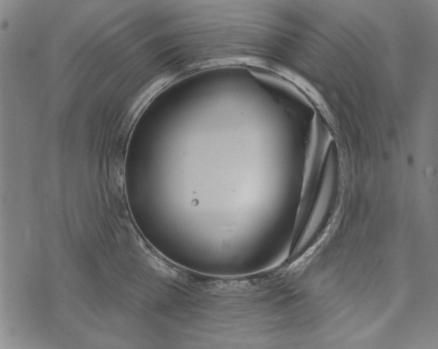 X0000073990809200609111531