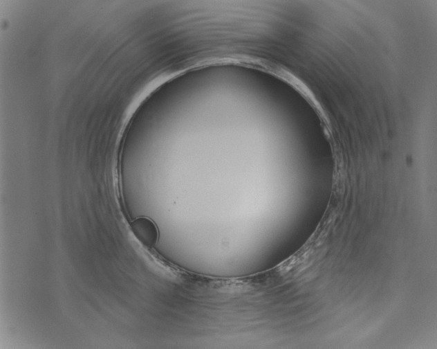 X0000073990811200609111531