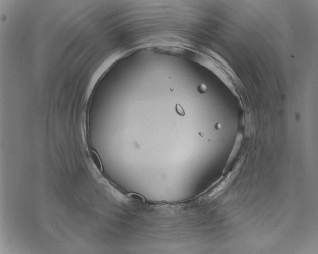 X0000073990812200609111531