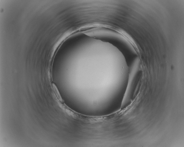 X0000073990813200609111531