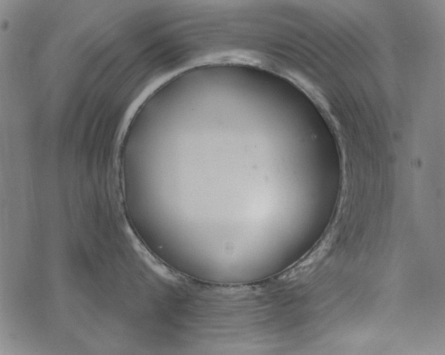 X0000073990816200609111531