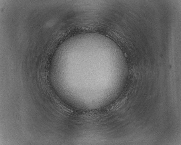 X0000073990817200609111531