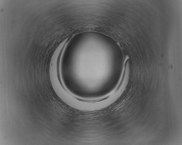 X0000073990818200609111531