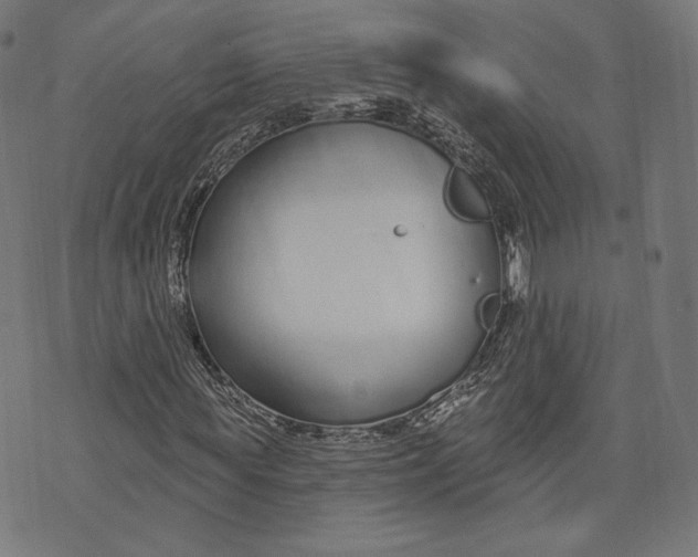 X0000073990819200609111531