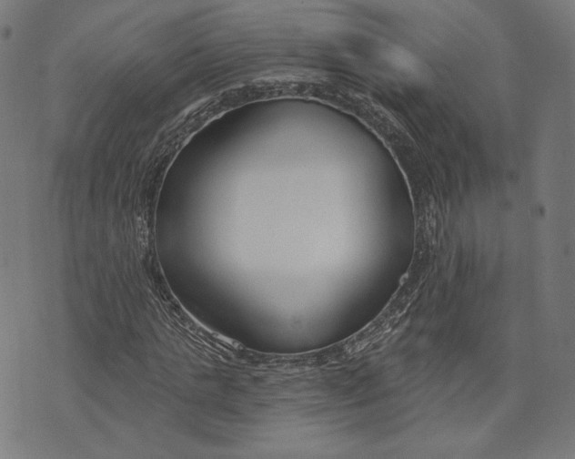 X0000073990821200609111531