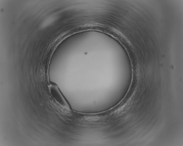 X0000073990825200609111531