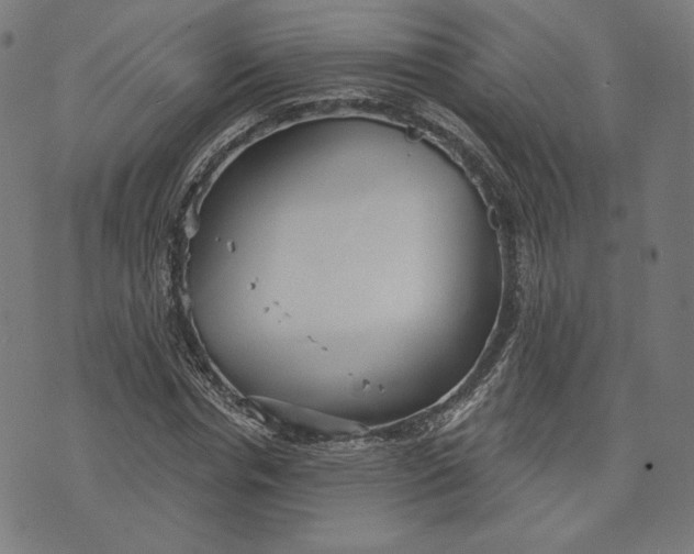 X0000073990826200609111531