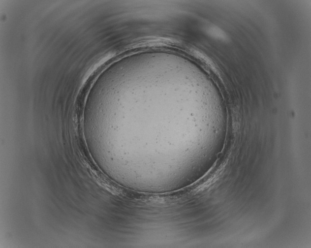 X0000073990827200609111531