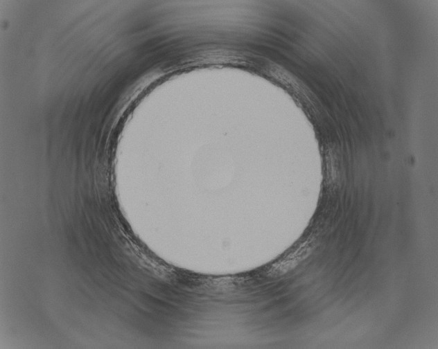 X0000073990828200609111531