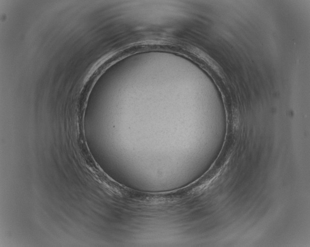 X0000073990829200609111531