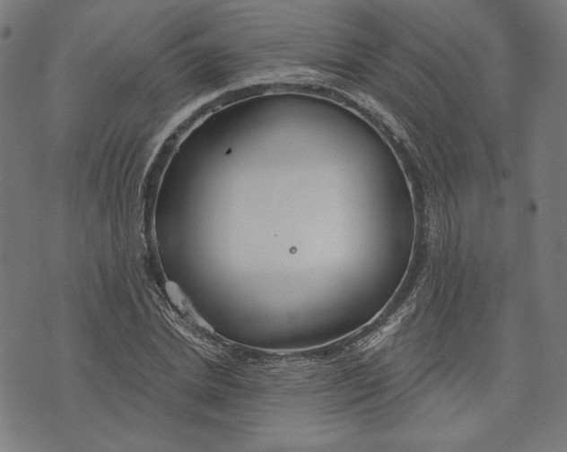 X0000073990830200609111531