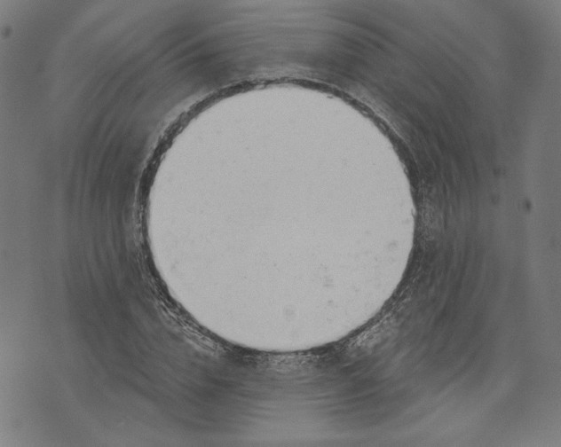 X0000073990832200609111531