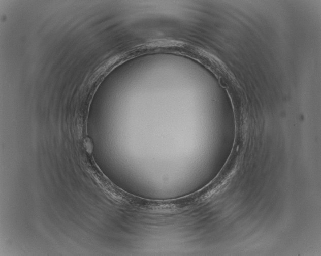 X0000073990833200609111531