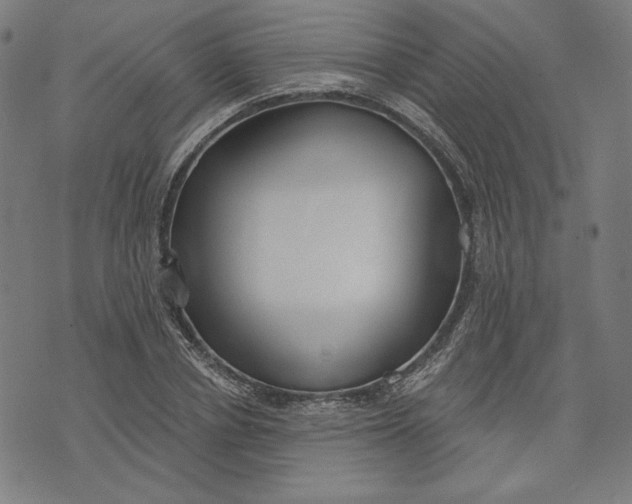 X0000073990834200609111531