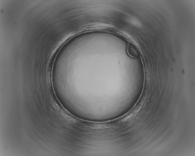 X0000073990835200609111531