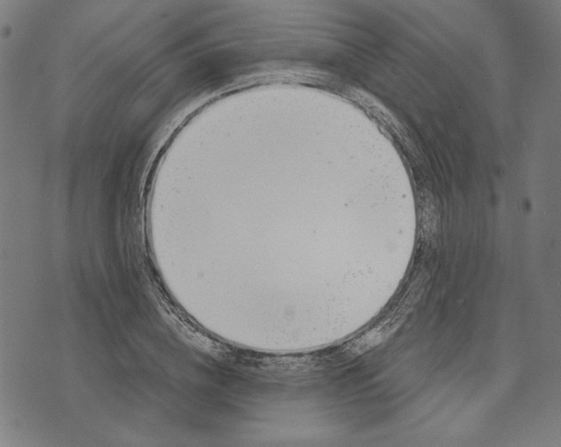 X0000073990836200609111531