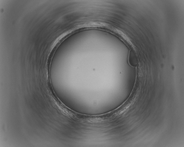 X0000073990837200609111531