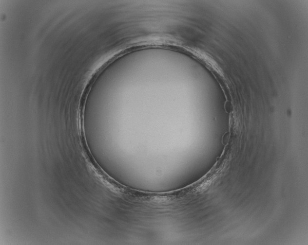 X0000073990839200609111531