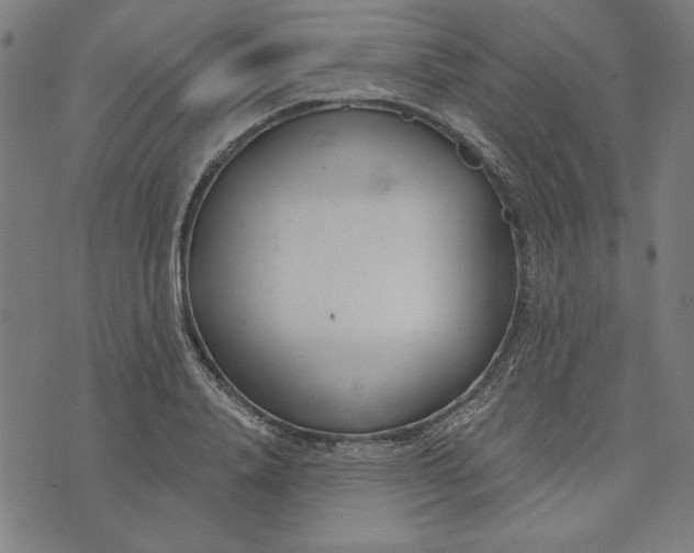 X0000073990840200609111531