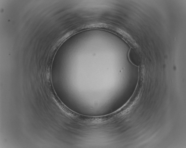 X0000073990841200609111531