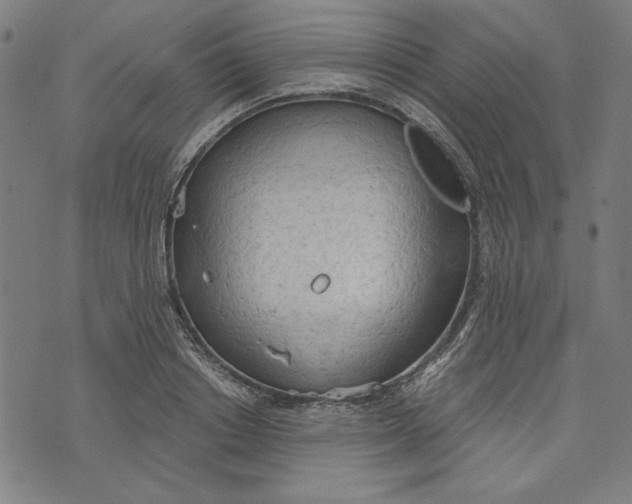 X0000073990842200609111531