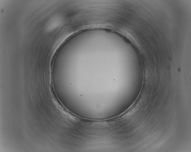 X0000073990844200609111531