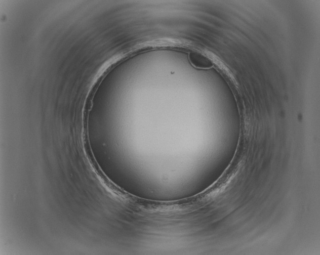 X0000073990845200609111531