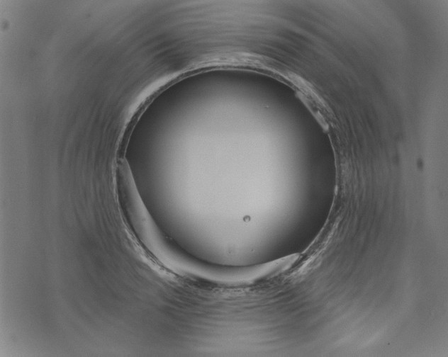 X0000073990846200609111531