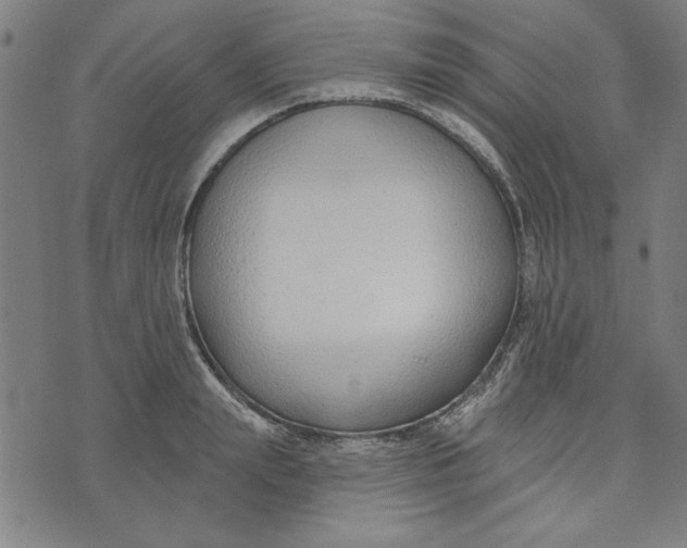 X0000073990847200609111531