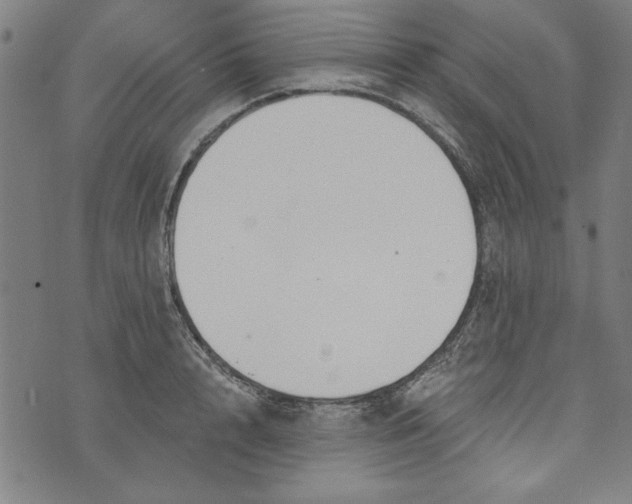 X0000073990848200609111531