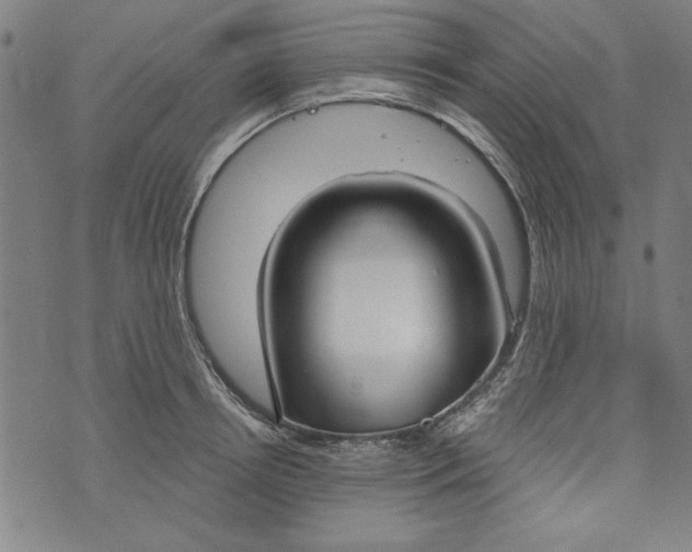 X0000073990850200609111531