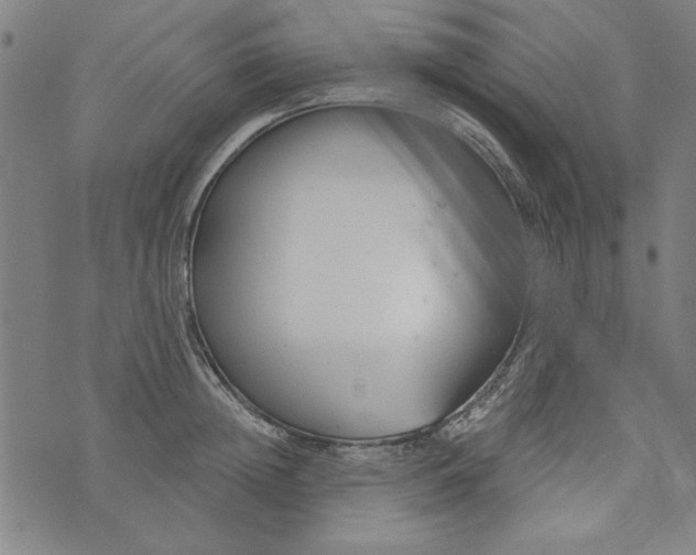 X0000073990852200609111531