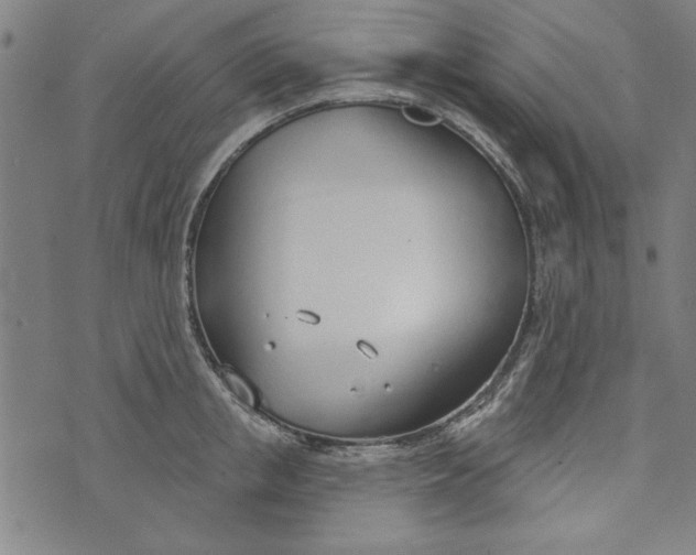 X0000073990853200609111531